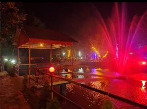 einen Brunnen in einem Park in der Nacht mit Lichtern in der Unterkunft Basundhara Resort Cum Family Restaurant in Kharagpur
