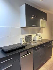Kuchyň nebo kuchyňský kout v ubytování Willa Wicko - Międzyzdroje - apartamenty z aneksem - widok na Zalew Szczeciński