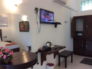 TV a/nebo společenská místnost v ubytování Lemazone Inn