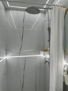 a bathroom with a shower with a shower curtain at Elegant Central park Apartment in Daugavpils +24 photos