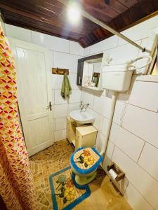Ένα μπάνιο στο Cabana no Sítio Vô Toninho +28 φωτογραφίες