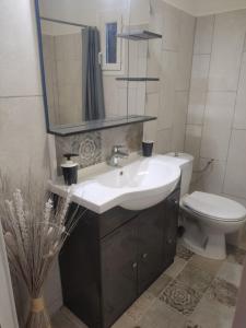 カルパントラにあるMaisonnetteのバスルーム(洗面台、トイレ付)