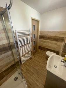 Koupelna v ubytování Apartmány Ferie
