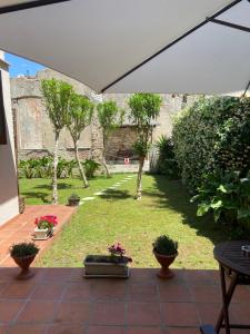 an open patio with potted plants and a garden at Victoria House B&B in Pisa