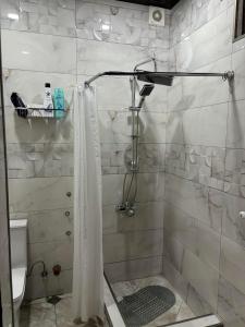 a shower with a glass door in a bathroom at Apartment on Sanapiro in Tbilisi City