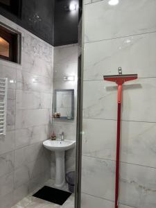 La salle de bains blanche est pourvue d'un lavabo et d'une douche. dans l'établissement Apartment on Sanapiro, à Tbilissi