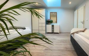 una camera con due letti e una pianta in vaso di Bellami Ferienwohnungen a Minden
