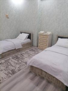 1 dormitorio con 2 camas individuales y vestidor en Rudakiy Apartment, en Samarkand