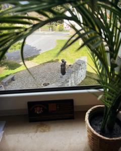 a potted plant sitting in front of a window at Simsongarage Mönchswalde in Obergurig