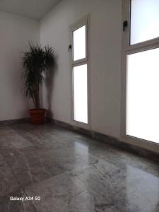 um quarto vazio com duas janelas e um vaso de plantas em Palm Inn City Hotel em Hurghada