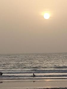 une personne assise dans l'eau sur la plage au coucher du soleil dans l'établissement Jusula Beach Resort, à Sanyang