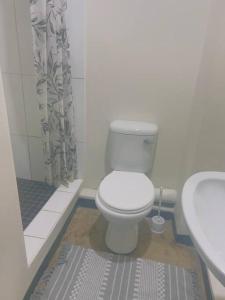 Baño blanco con aseo y lavamanos en Stylish apartment in Maboneng, en Johannesburgo