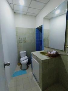 y baño con aseo, lavabo y espejo. en Casa Carla Cartagena Hospedaje Céntrico y Familiar, en Cartagena de Indias