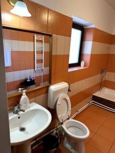a bathroom with a sink and a toilet and a mirror at Căsuța de la țară in Bradu