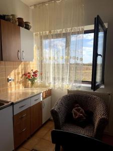 a kitchen with a chair in front of a window at Căsuța de la țară in Bradu