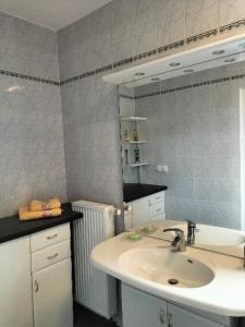 een badkamer met een wastafel en een spiegel bij Pension Rosenvilla in Sedlitz