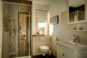 a bathroom with a shower and a toilet and a sink at Ferienwohnung Dormettinger Lindenhof in Dormettingen