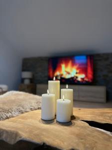 TV a/nebo společenská místnost v ubytování La Maisonnette
