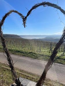a heart shaped sign on a vineyard with a road at Neue Fewo mit Schlossblick - Urlaub im Wein- und Ferienort Bekond in Bekond