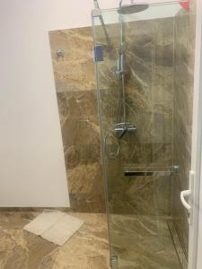 a shower with a glass door in a bathroom at Aparthouse in Lugoj