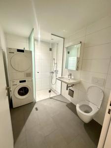 3.5Room@MydiHei Apartments في نيوهاسن ام رينفا: حمام مع غسالة ومرحاض