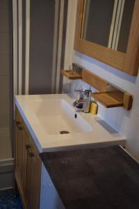 a bathroom with a white sink and a mirror at T2 tout confort 1 chambre, proche hypercentre classé 2 étoiles in Le Mont-Dore