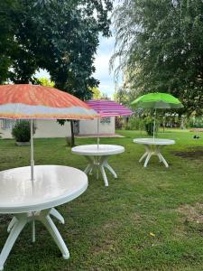 três mesas de piquenique com guarda-chuvas na relva em A CAZON QUITADO em Saladillo