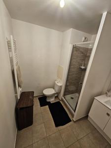 a small bathroom with a toilet and a shower at Cosy Furnished Studio Near Paris and Stade de France in Saint-Ouen