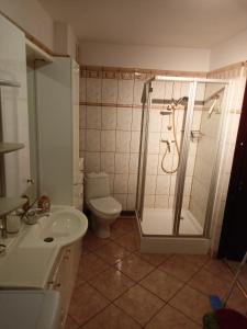 y baño con ducha, aseo y lavamanos. en Domek na Odrzańskiej, en Moryń