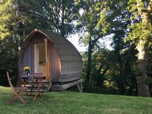 a small wooden cabin with a table in the grass at birdbox@glanrhyd in Pontardawe