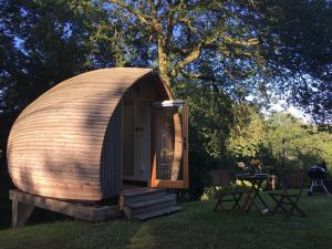 ein Kuppelhaus im Gras auf einem Feld in der Unterkunft birdbox@glanrhyd in Pontardawe