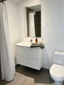uma casa de banho com um lavatório, um WC e um espelho. em Charmerende bolig nær Domkirken em Ribe
