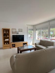 een woonkamer met 2 banken en een flatscreen-tv bij Preciosa casa con piscina de agua salada y aire acondicionado in Llança