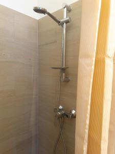 a shower with a shower head in a bathroom at Golubina 3 - Soba sa Sopstvenim Kupatilom in Golubac