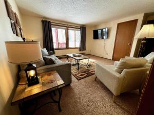 una sala de estar con un sofá y una silla en Silver Street Condos, en Lake City