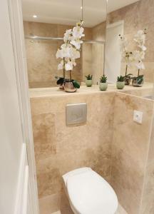 a bathroom with a toilet and flowers on a shelf at Cosy Claudel in Nogent-sur-Seine