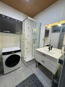 ein Badezimmer mit einer Dusche, einem Waschbecken und einer Waschmaschine in der Unterkunft T3 Premium - Calme & spacieux 6-12 personnes in Belfort