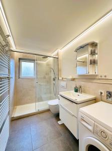 a bathroom with a shower and a toilet and a sink at Ferienwohnung Lotti + Hochschwarzwald Card in Titisee-Neustadt