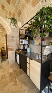 a kitchen with a sink and a counter with a plant at KiaOrana in Polignano a Mare