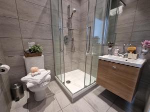 a bathroom with a shower and a toilet and a sink at Shard View Apartments in London
