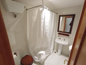 y baño con cortina de ducha y lavamanos. en HOSTAL RURAL ALTO TAJO POVEDA en Poveda de la Sierra