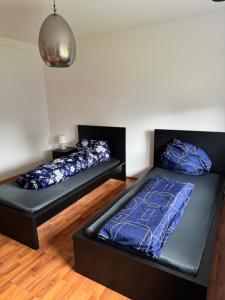 two beds in a room with blue pillows at Schöne EG Wohnung mit TV, Wlan und Küche - Maria in Werne an der Lippe