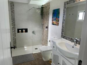 a bathroom with a toilet and a sink and a shower at Casa La Oliva in Garachico +51 photos