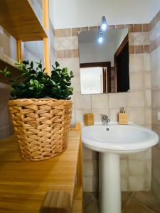 a bathroom with a sink and a potted plant at Casa Bellavista in Nebida
