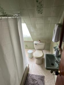 uma casa de banho com um WC e um lavatório em Finca Santa Lucia, Anolaima em Anolaima