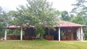 una casa con sillas y un árbol delante de ella en CABAÑAS CEYTAKS, 