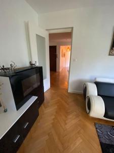 ein Wohnzimmer mit einem Flachbild-TV und Holzböden in der Unterkunft Appartement spacieux et calme in La Mulatière