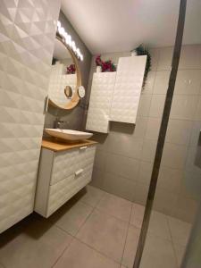ein Bad mit einem Waschbecken und einem Spiegel in der Unterkunft Appartement spacieux et calme in La Mulatière