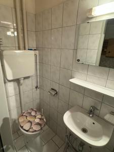 a small bathroom with a toilet and a sink at Cozy apartment in graz in Graz