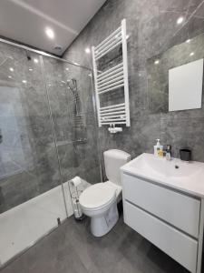 a bathroom with a toilet and a shower and a sink at Private rooms - European Quarter in Brussels